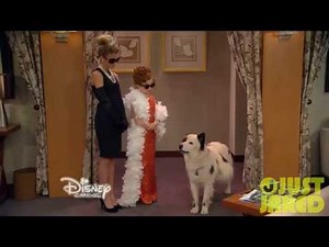 Dog With A Blog - "Stan Has Puppies" Clip