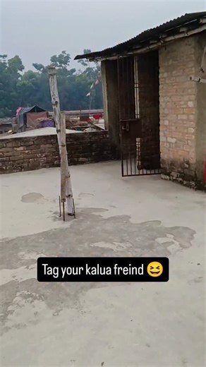 Shanti Singh on Instagram: "Tag kar do kalua freind ko😂.... #reelsinstagram #catsofinstagram #beautiful #trendingreels #viralvideos #travelphotography #newpost #trending #reels"