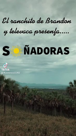 #beefmaster #beefmasters #animals #fyp #foryou #tiktokparati #telenovelas #soñadorasnovela #comedia #vacas