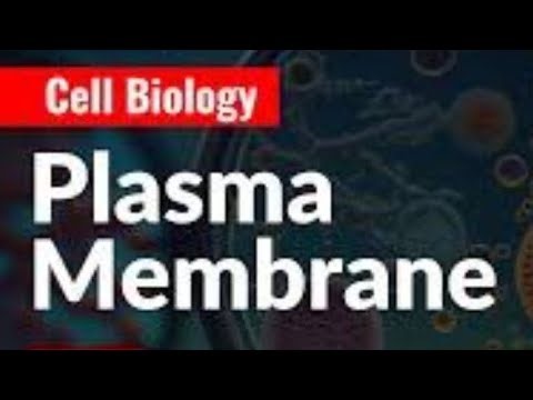 Structure of Plasma Membrane CSIR NET - Let 02 Cell Bio.