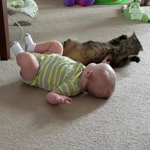 Cute and funny cats with babies 🐱👶🏻 | Kids Say