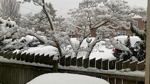 What impact will the next winter storm have on Delaware? Here is the latest forecast