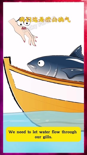 #s427 | This tuna is always swimming