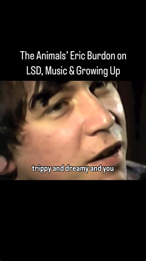 DJHetVZOo3r
