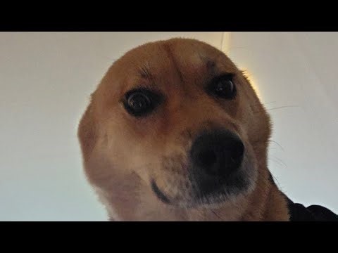 Space Oddity - David Bowie // Ukulele with Cynthia Lin's Video