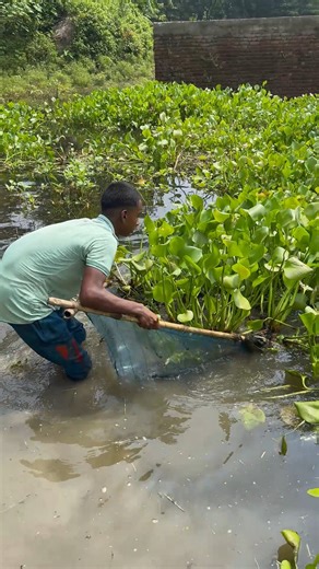 Traditional Net Fishing | Fishing & Village Tradition