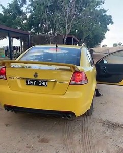- Sv6 Muffler delete - This Sv6 Commodore has our dual 3inch muffler deletes fitted with a Resonator! Our muffler deletes start at $299-$349! These are great for a first upgrade or starting of upgrade to your car! Message us for more information #emp #empire #empireperformance #performance #exhaust #perth #holden #commodore #ve #vf #sv6 #v6 #ss #v8 #hp #nm #headers #cats #stainless #power | Empire Performance | Facebook