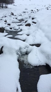 1K views · 79 reactions | Can you spot the otter tracks? | Balmoral Castle | Facebook