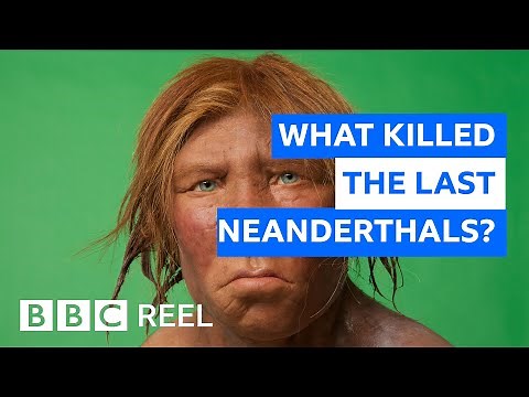 What really killed the Neanderthals? - BBC Reel