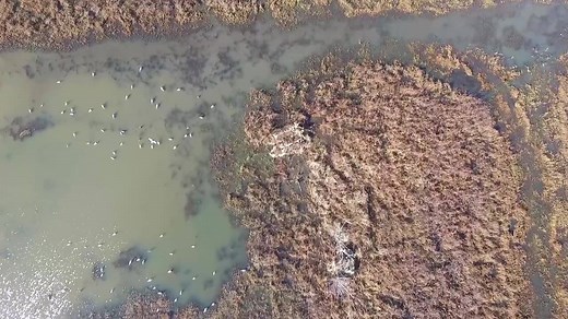 *VIEW IN HD* See what it is like hunting with County Line Boats. Excited to release this short video from early season. Message or call for details. Every County Line Boat is custom built to your specifications. Special thanks to Kody Van Pelt and Clay Kirkpatrick for the video. | County Line Boats