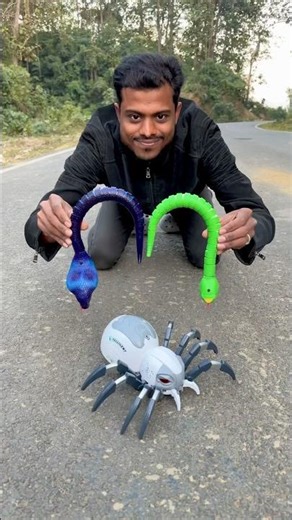 Rc snakes and Remote wala spider 🕷️