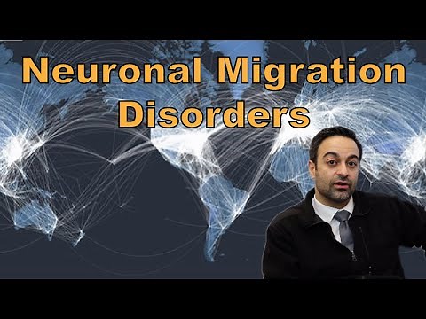 Neuronal Migration Disorders: Embryology and Pathology