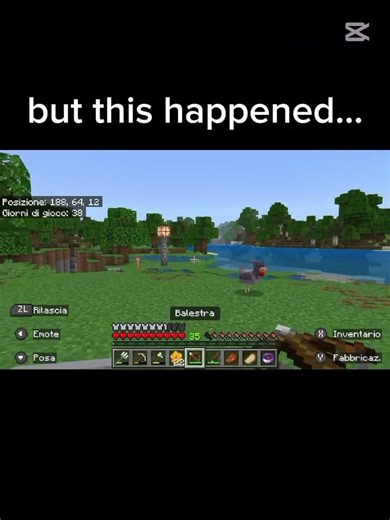 we will always remember you cools chicken... #minecraft