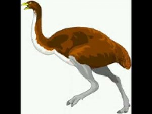 Real Moa Sound effects