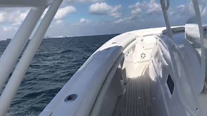 6.2K views · 361 reactions | Sunday Cruise. Intrepid Powerboats | Seven Marine | Facebook