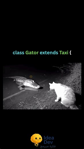 4.7K views · 18 reactions | inheritance gone wrong #فكرة_مبرمج #coding #programming #javascript #python | فكرة مبرمج | Facebook