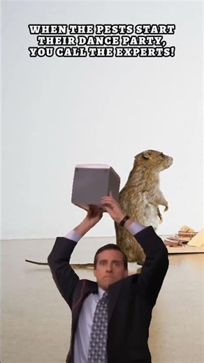 When the pests start their dance party, you call the experts!