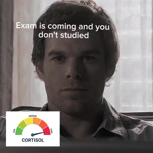 Examen milagroso: Edición de Dexter con letras de canción