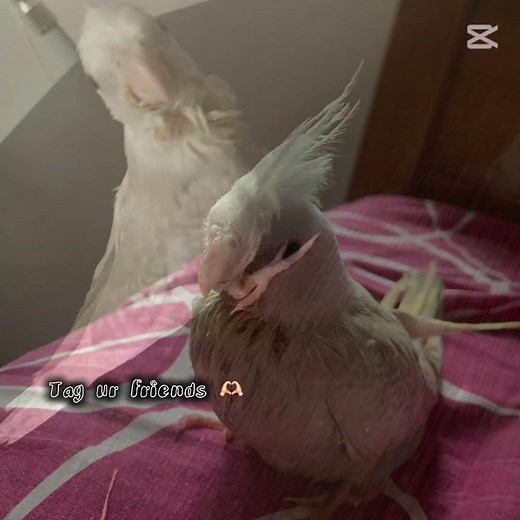 My ❤️‍🔥🩵🩵🩵🩵 #funny fire imath