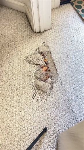 carpetrepairguys on TikTok