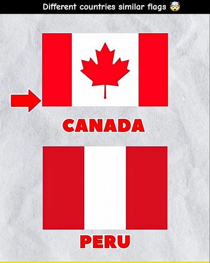 different countries similar flags - 2 🤯 #shorts #facts