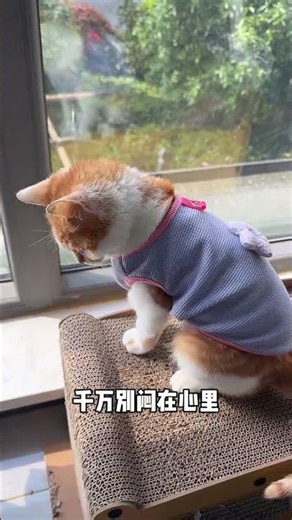 When Animals Get Frustrated: Uncover the Secrets