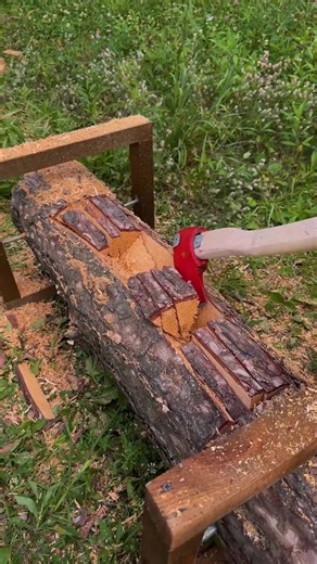 Fireplace Inside a Log | Panda Curioso