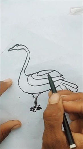 Easy Duck Drawing Step by Step | Cute Duck Drawing for Kids