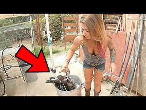 Quickly Processing Duck at Home | Butchering A Duck