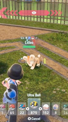 ZA Shinies Day 66! Shiny Male Pyroar!