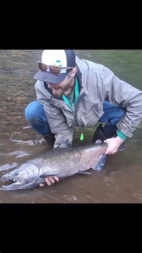 Late Chinook on the Jig (Purple Nightmare 🔥)