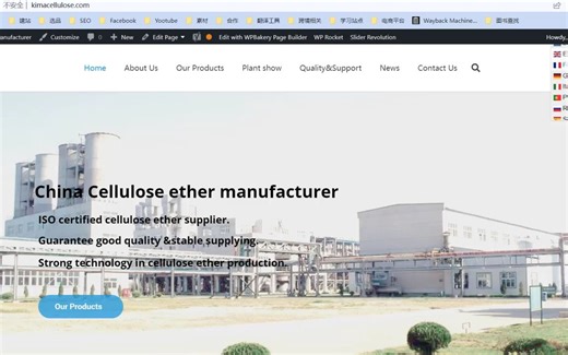 4-多语言插件-GTranslate设置演示