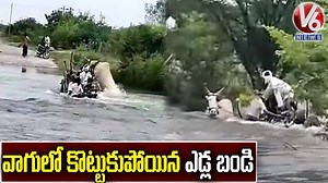 16M views · 100K reactions | వరదలో కొట్టుకుపోయిన ఎడ్లబండి #HeavyRains #Telangana #V6Velugu | V6 News | Facebook