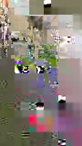 7.3K views · 113 reactions | Im Alperstedter Ried zwischen Erfurt und Sömmerda haben unzählige Tier- und Pflanzenarten ein Zuhause gefunden. Ein Highlight sind die karpatischen Wasserbüffel. Sie grasen seit fünf Jahren hier und sorgen dafür, dass das Naturschutzgebiet der Stiftung Naturschutz Thüringen nicht zuwuchert. | MDR Thüringen | Facebook