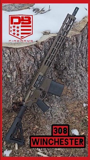 Introducing the Diamond Back DB10 308 WIN Rifle