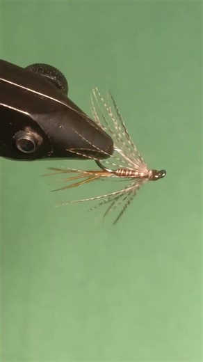 Simple Wet Fly pattern.