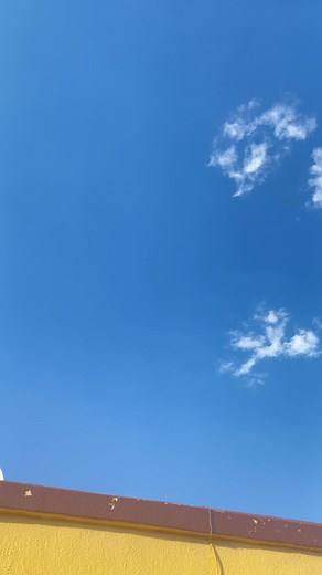 Zandimaz- Uthando (Acapella Cover) by Onset Music Group | SAMA28