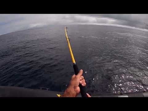 ILLEX - Reef Reapper - Crash Test