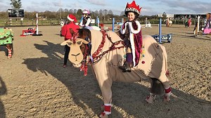 Get into the festive spirit! 13 Christmas fancy dress ideas for riders of all ages and their (reindeer) mounts - Horse & Hound