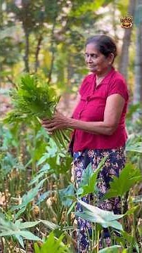 Amma’s Creamy Lasia Leaves Curry 🌿🥥 | Simple Homemade Comfort Food 🥘