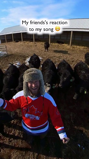 Who knew that cows loved Tim Hortons?? 🤷‍♂️ (Song: Tims Run by OGR-Scintilla) Follow to see more videos where I remix classic songs to make them more Canadian!!! I made this song all about going to Tim Hortons, it’s called ‘Tim’s Run.’ Click right here to stream it: https://distrokid.com/hyperfollow/ogrscintilla/tims-run #timsrun #timhortons #timmies #timbits #timhortonscanada #canadianthings #canada #greatestincanada #canadamemes #canada🇨🇦 #canadagoose #canada_gran #alberta #kamloops #chilli