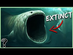 Top 10 Scary Animals We Are Glad Went Extinct