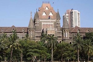 Metro-III tree woes: Bombay High Court frowns on activists; says be practical