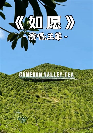 《如愿》多年以后，再次回到空气清新的金马伦，高山的风依然温柔，仿佛一切都和记忆里一样美好。#好听 #好歌 #度假 #pfypシ #美景