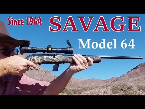 Savage Model 64 Shooting Review - Is This "Budget" Rimfire Rifle Accurate at 50 Yards!
