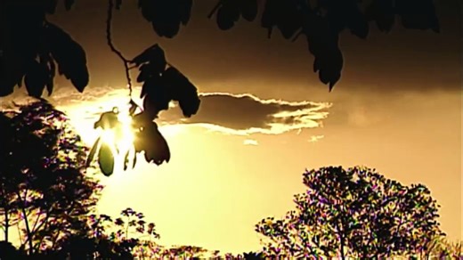 ANGEL REBELDE | Capitulo 160 | Telenovelas | TELEVISION DIGITAL