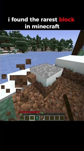 i found the rarest block in minecraft