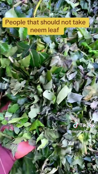 Cautions on Neem Leaf Consumption and Side Effects