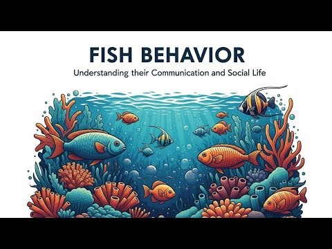 Fish Behavior: Understanding Their Communication and Social Life