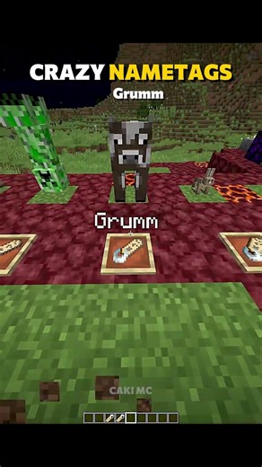 Minecraft Craziest Name Tags 🤫🔥